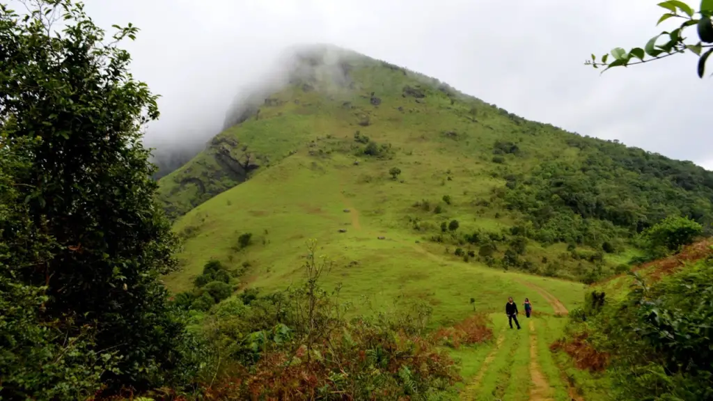 7 Offbeat Places to Visit in Coorg in October