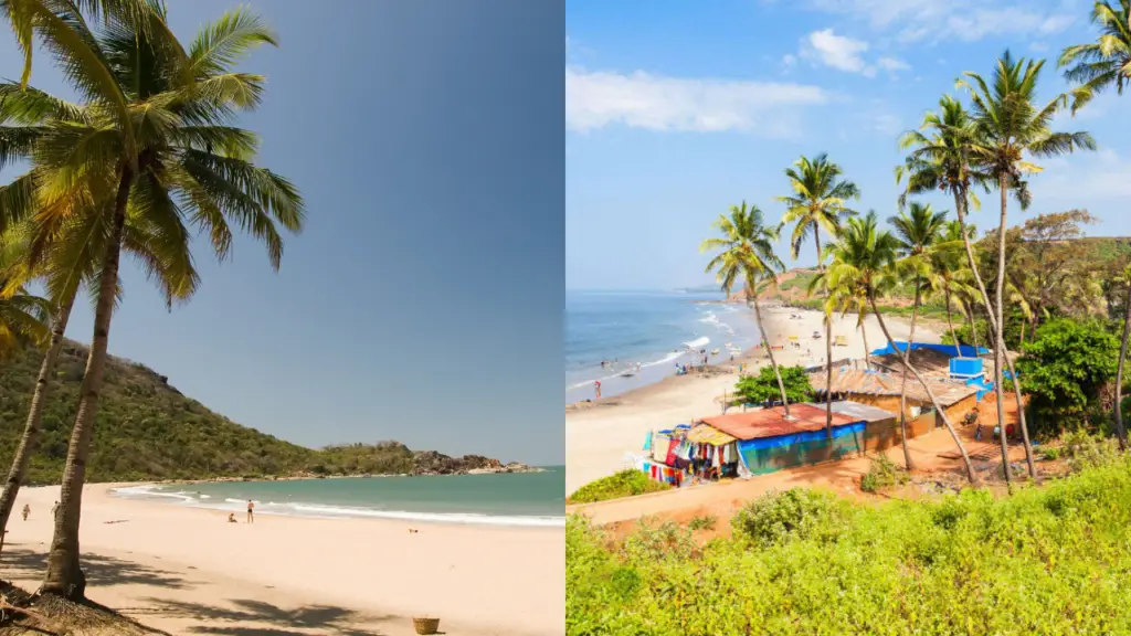 Beaches in South Goa: Top Spots for Relaxation and Fun