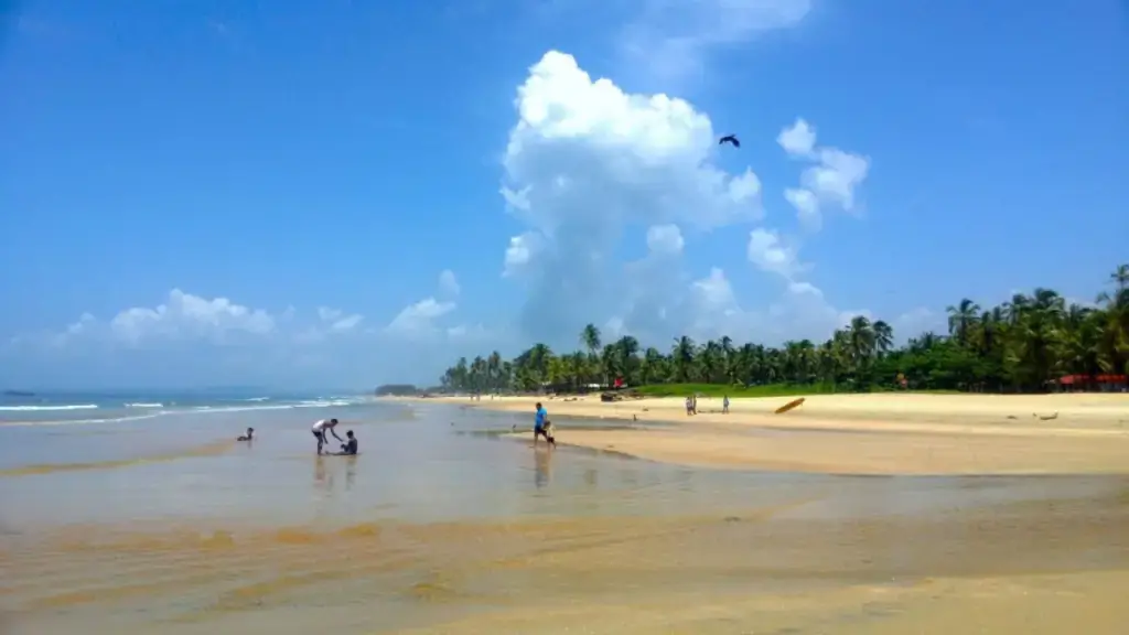 Beaches in South Goa: Top Spots for Relaxation and Fun