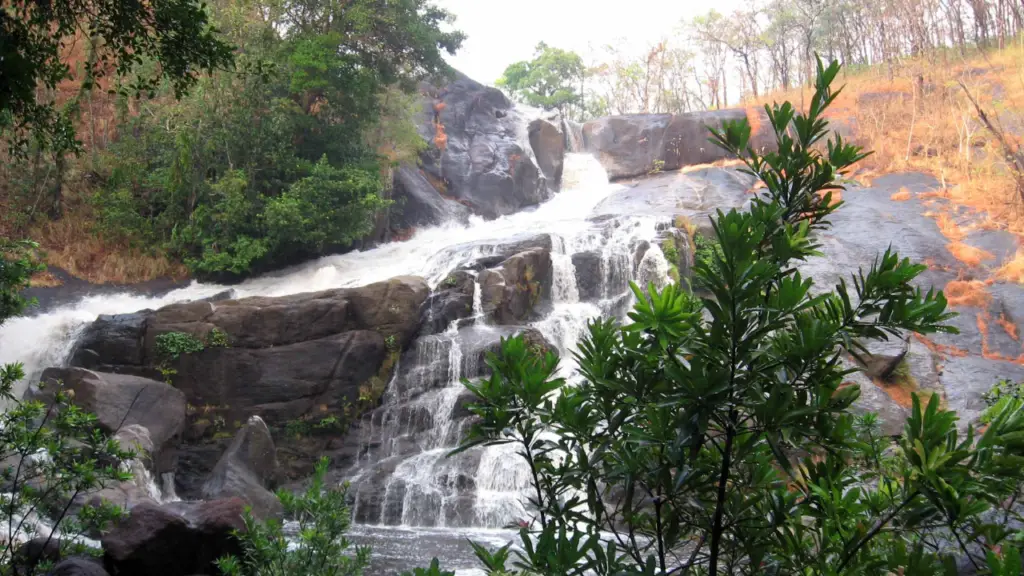 Places to visit in Wayanad: For Nature Lovers Paradise