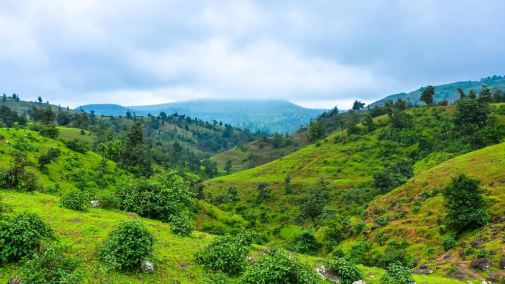 Saputara Hill Station: A Nature Lover's Dream Destination