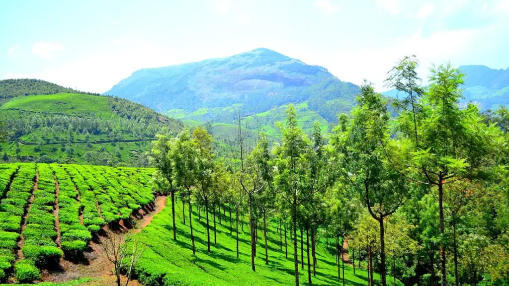 10 Best South India Tourist Places For Your Memorable Vacation 