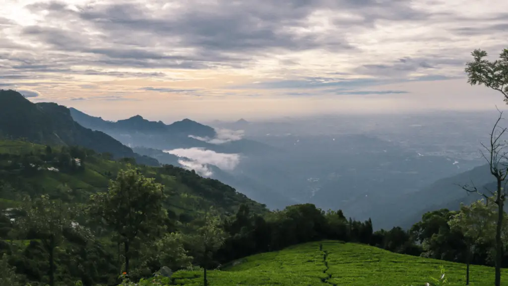 Discover Ooty Hill Stations: A Serene Escape in Nature