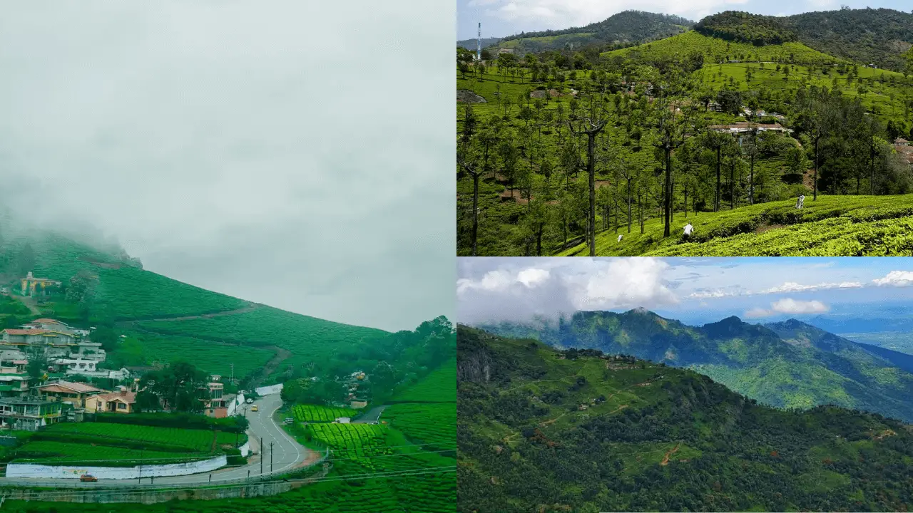 Discover Ooty Hill Stations: A Serene Escape in Nature