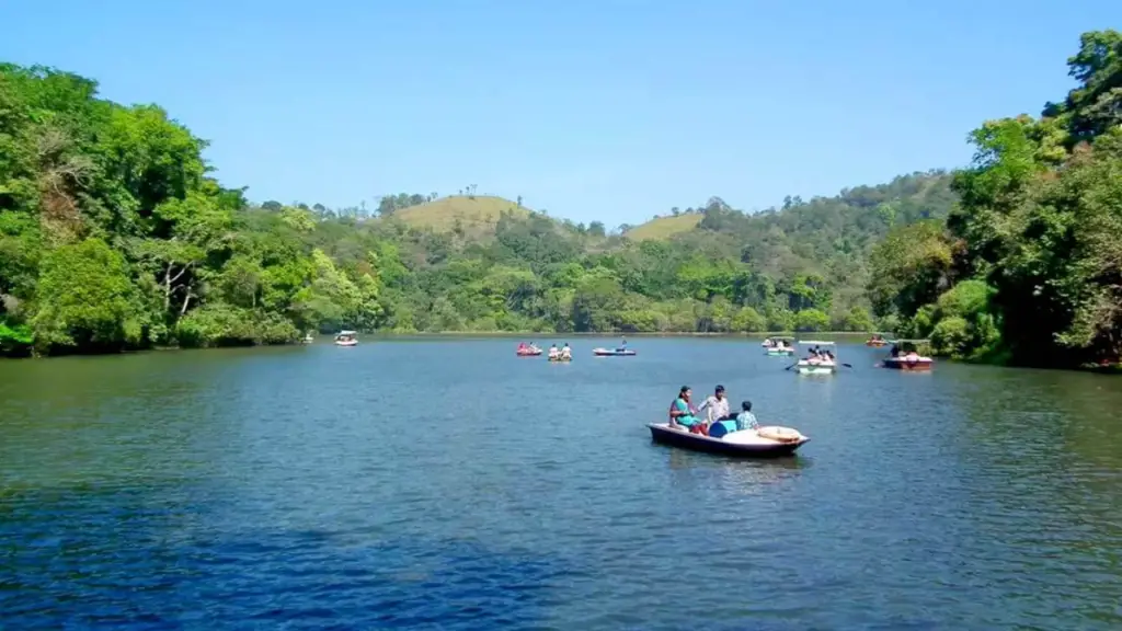 Places to visit in Wayanad: For Nature Lovers Paradise