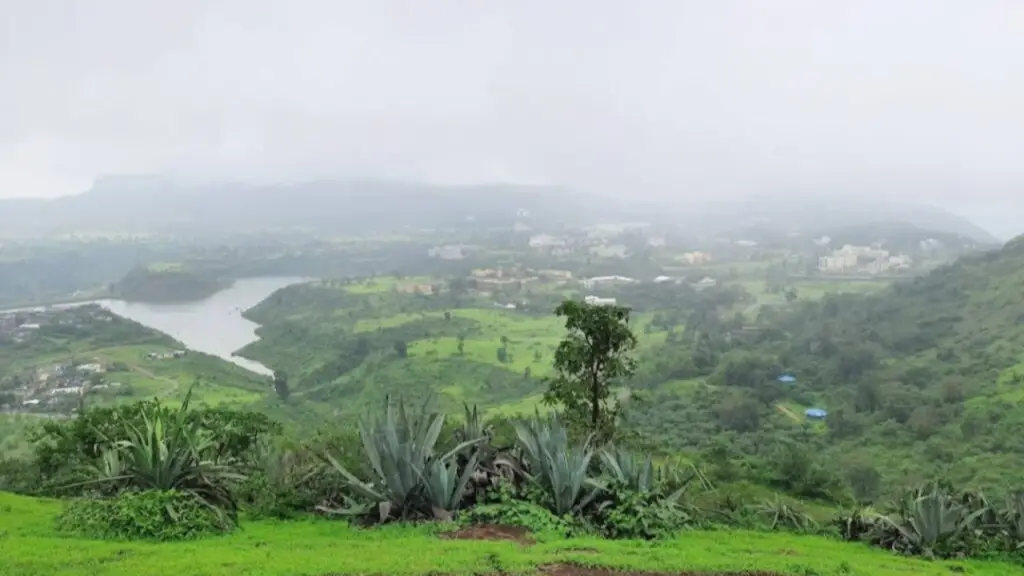 Saputara Hill Station: A Nature Lover's Dream Destination