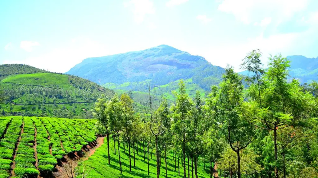 Top 10 Best Places to visit in south India