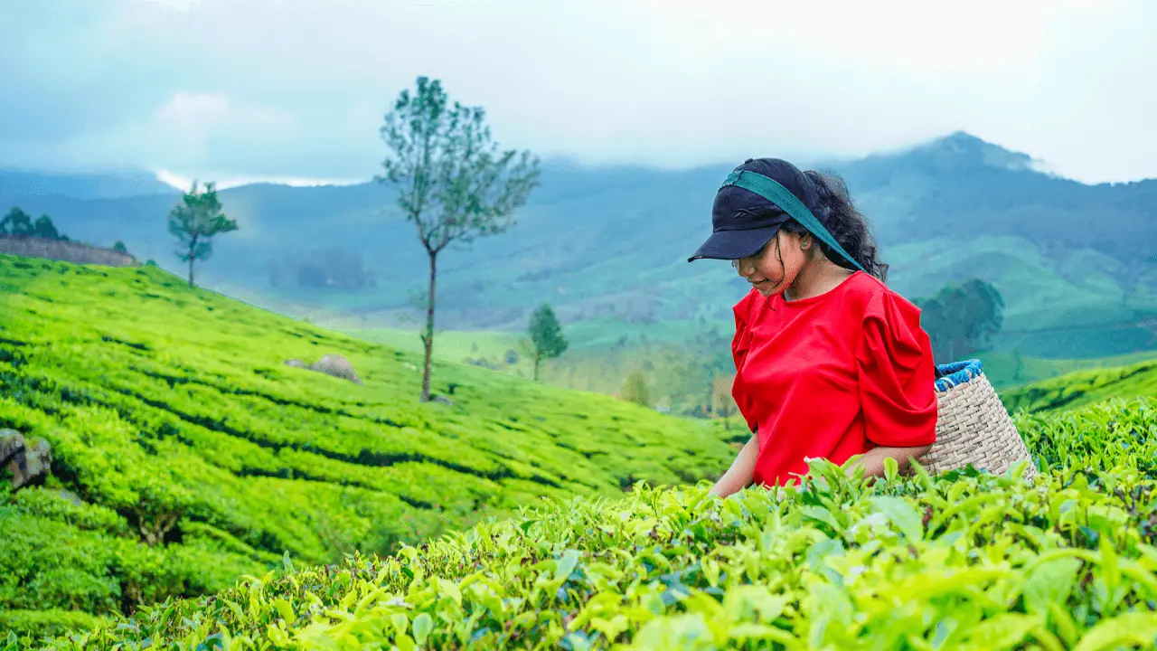 10 Hidden Charming Places to Visit in Ooty