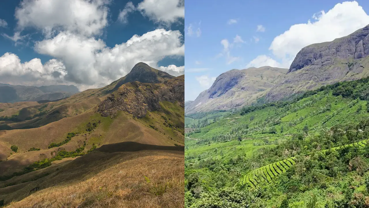 Exploring The Highest Peak in South India