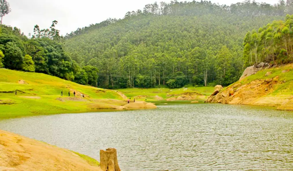 Must-Visit Munnar Kerala Tourist Places for a Memorable Holiday