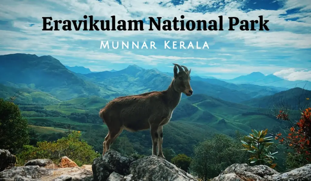 Must-Visit Munnar Kerala Tourist Places for a Memorable Holiday