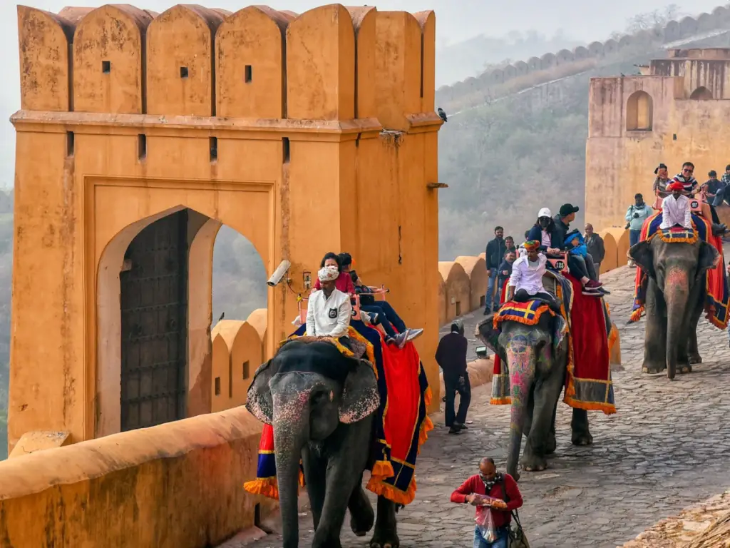 Amber Fort Jaipur: Timings, Entry Fee, and Must-See Attractions