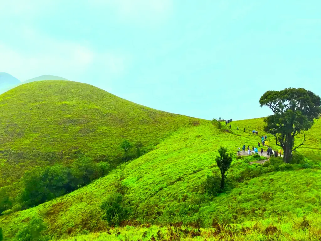 10 Beautiful Places to Visit in Chikmagalur 2024