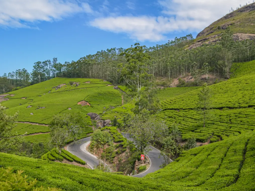 Top Charming Places to Visit in South India