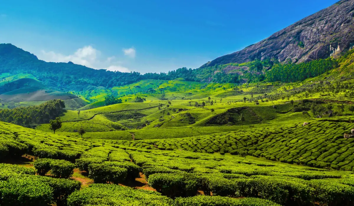 Must-Visit Munnar Kerala Tourist Places for a Memorable Holiday