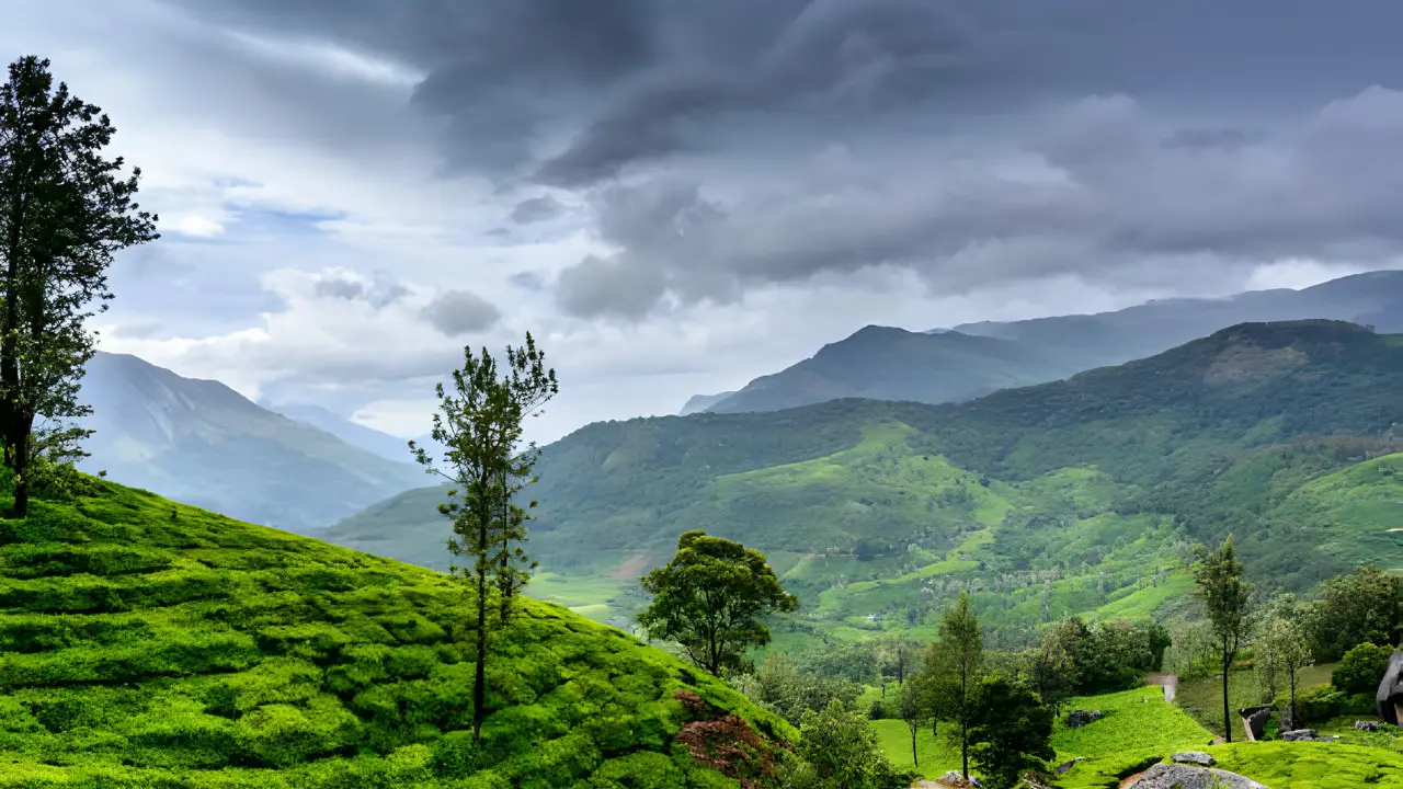 Places to Visit in Wayanad: A Complete Travel Guide