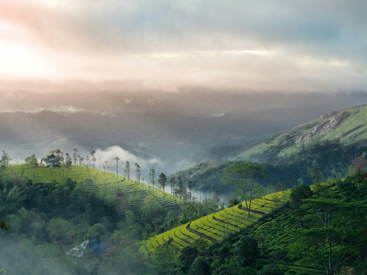 Top Places to Visit in Kerala in December for a Winter Getaway